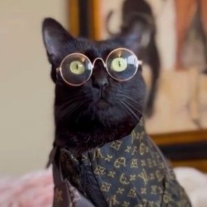 Meet your Posher, Jama